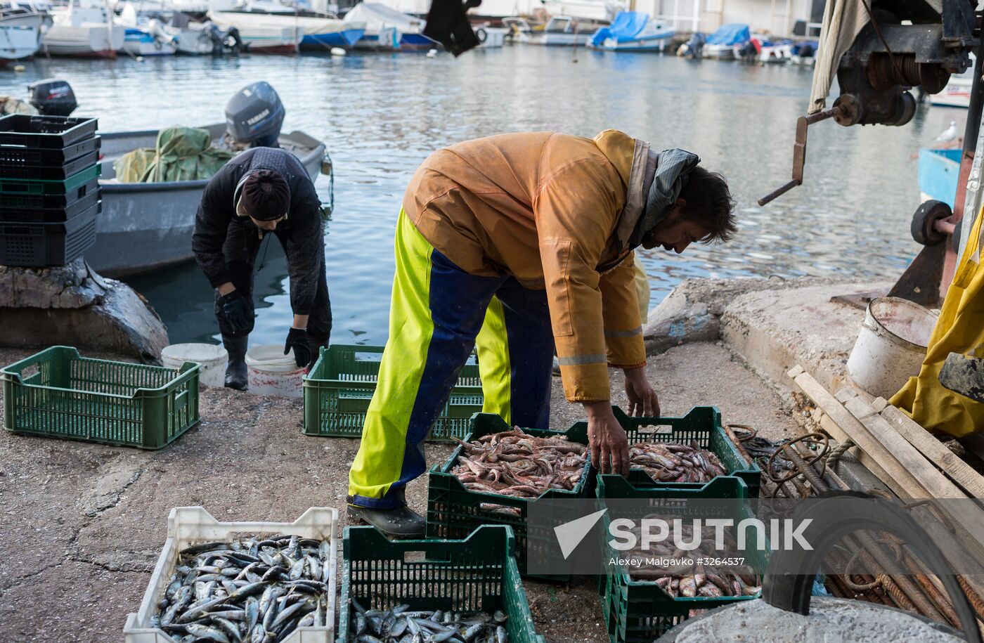 Inshore fisheries in Sevastopol