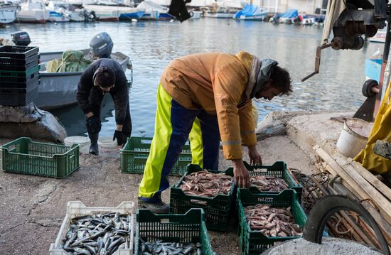 Inshore fisheries in Sevastopol