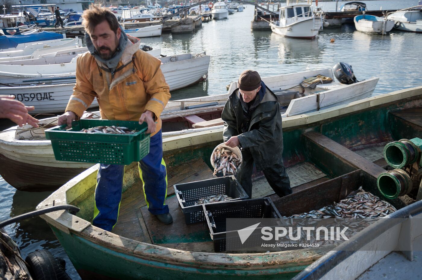 Inshore fisheries in Sevastopol