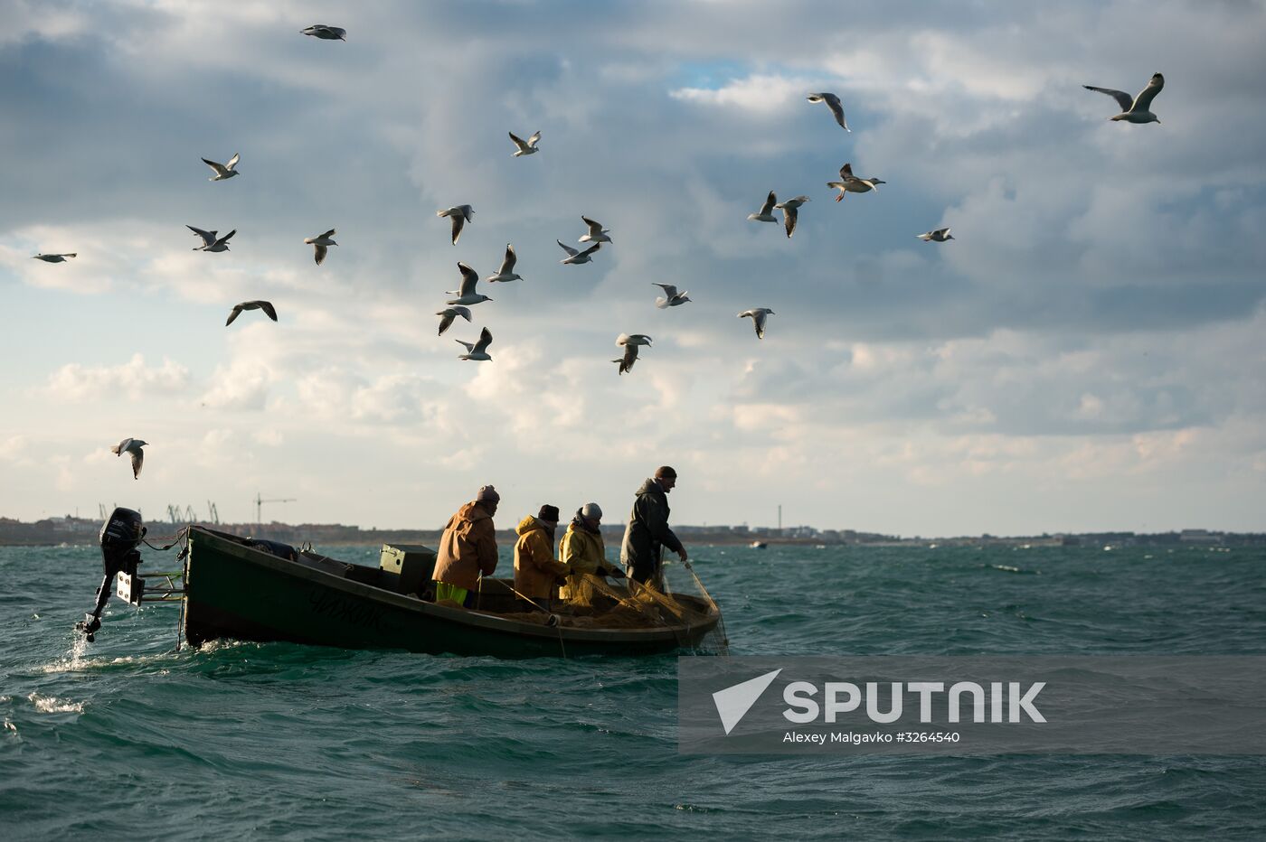 Inshore fisheries in Sevastopol