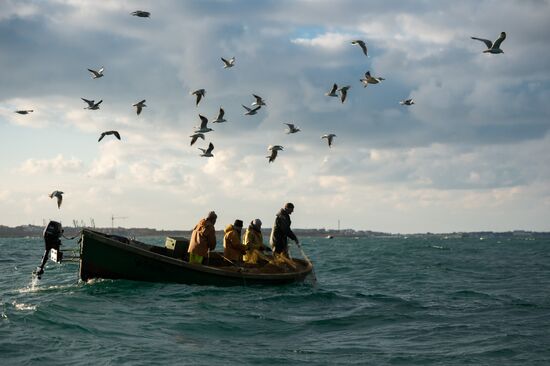 Inshore fisheries in Sevastopol