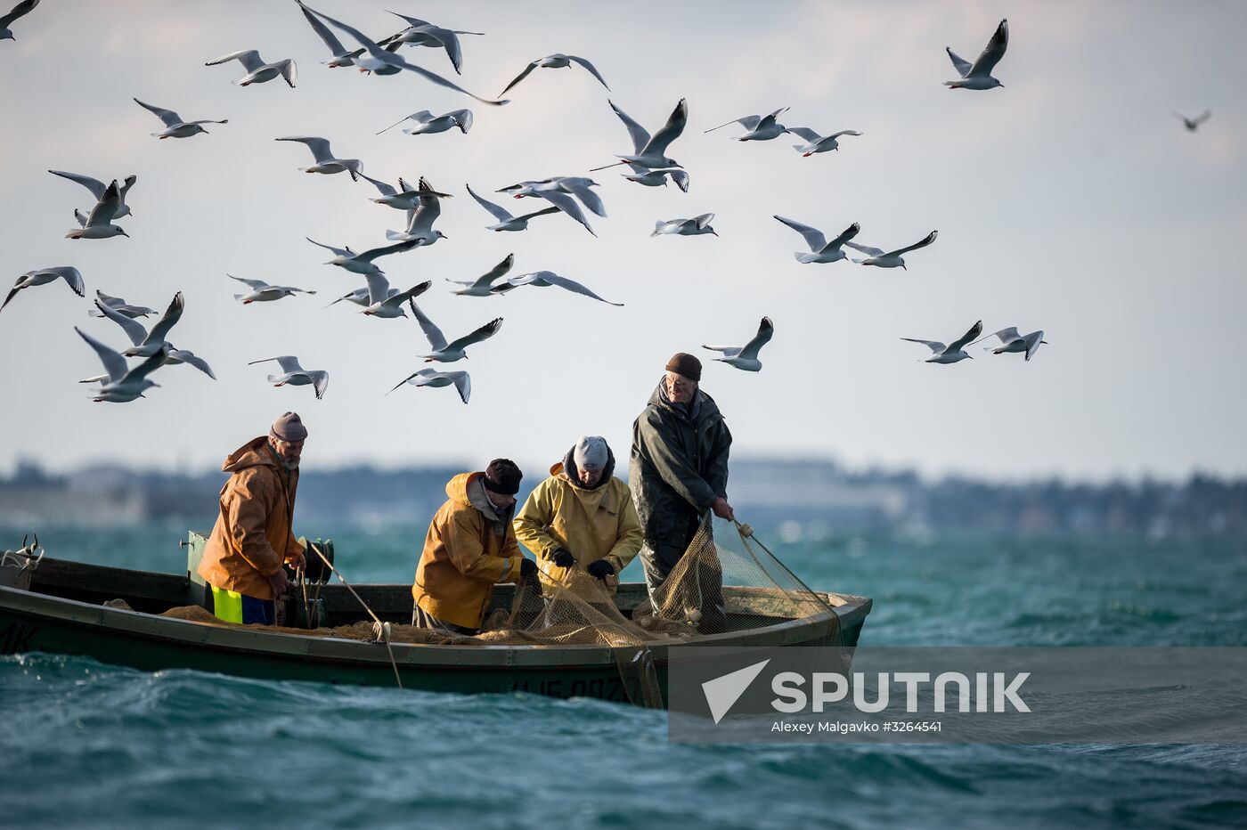 Inshore fisheries in Sevastopol