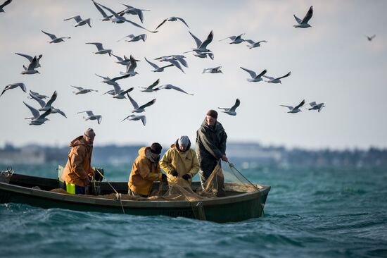 Inshore fisheries in Sevastopol