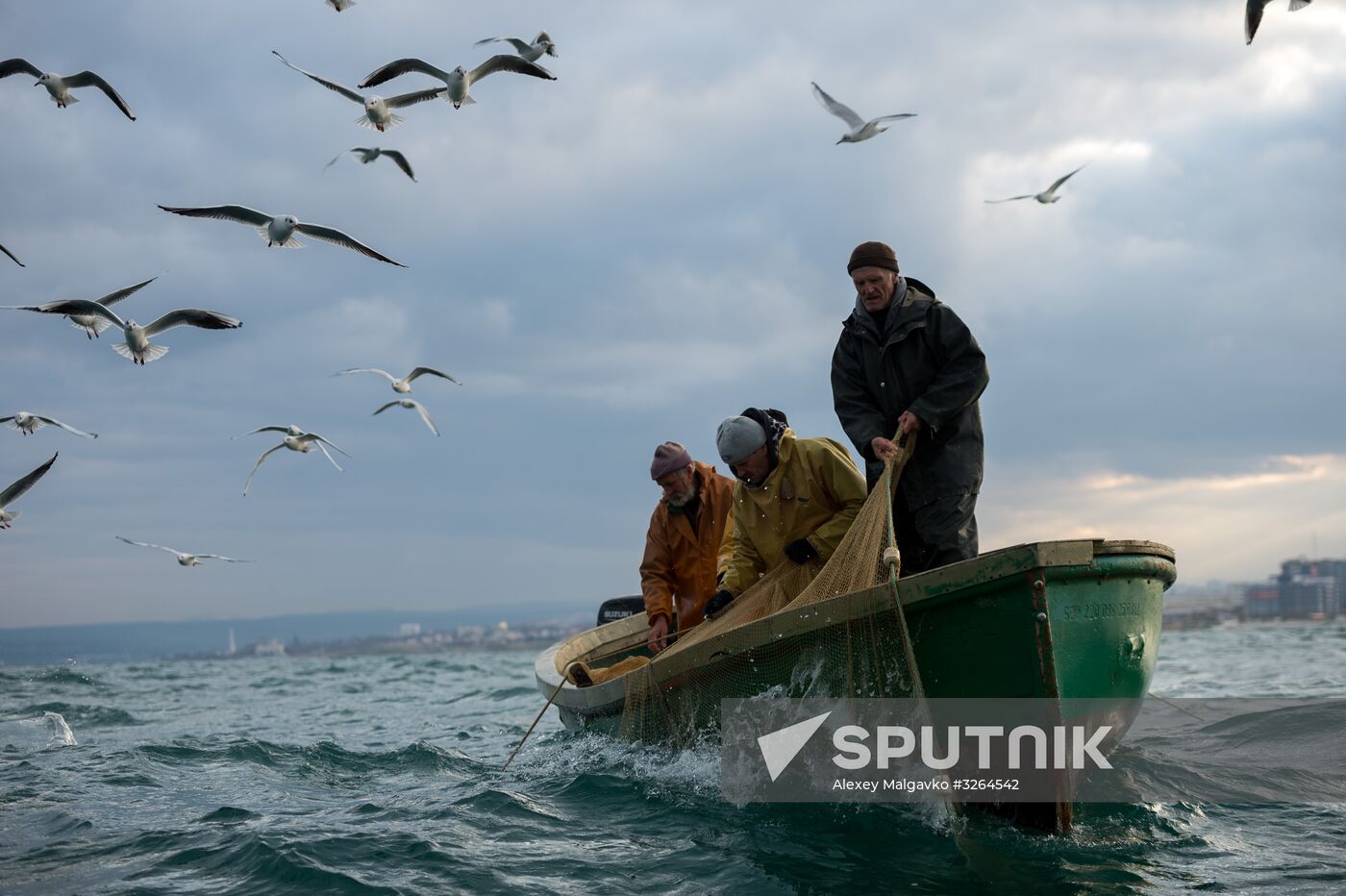 Inshore fisheries in Sevastopol