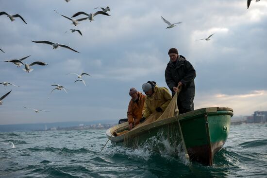 Inshore fisheries in Sevastopol