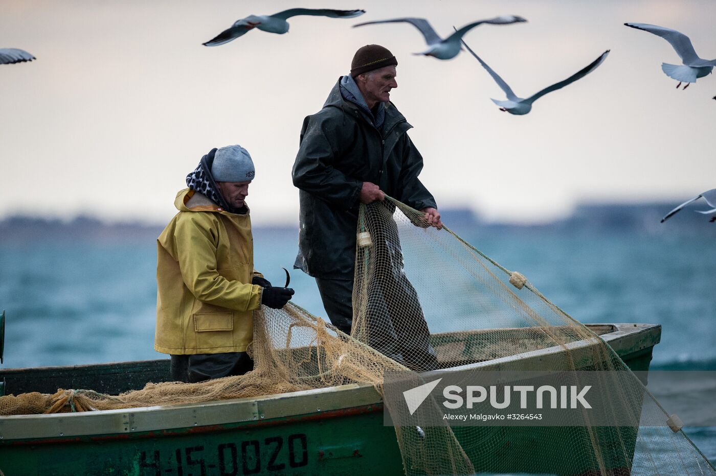 Inshore fisheries in Sevastopol