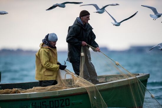 Inshore fisheries in Sevastopol