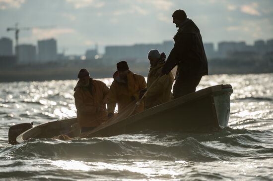 Inshore fisheries in Sevastopol
