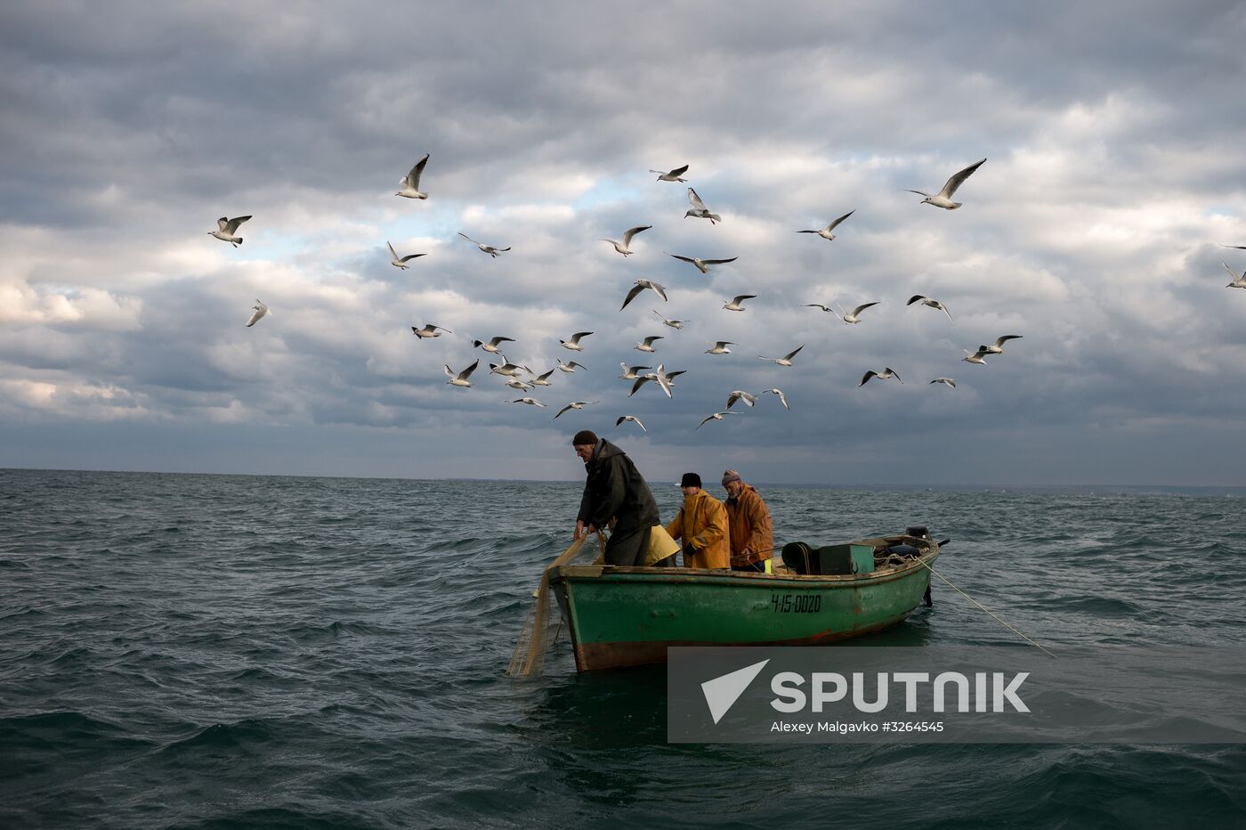 Inshore fisheries in Sevastopol