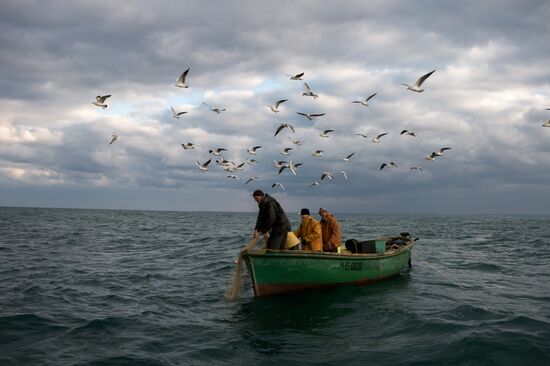 Inshore fisheries in Sevastopol
