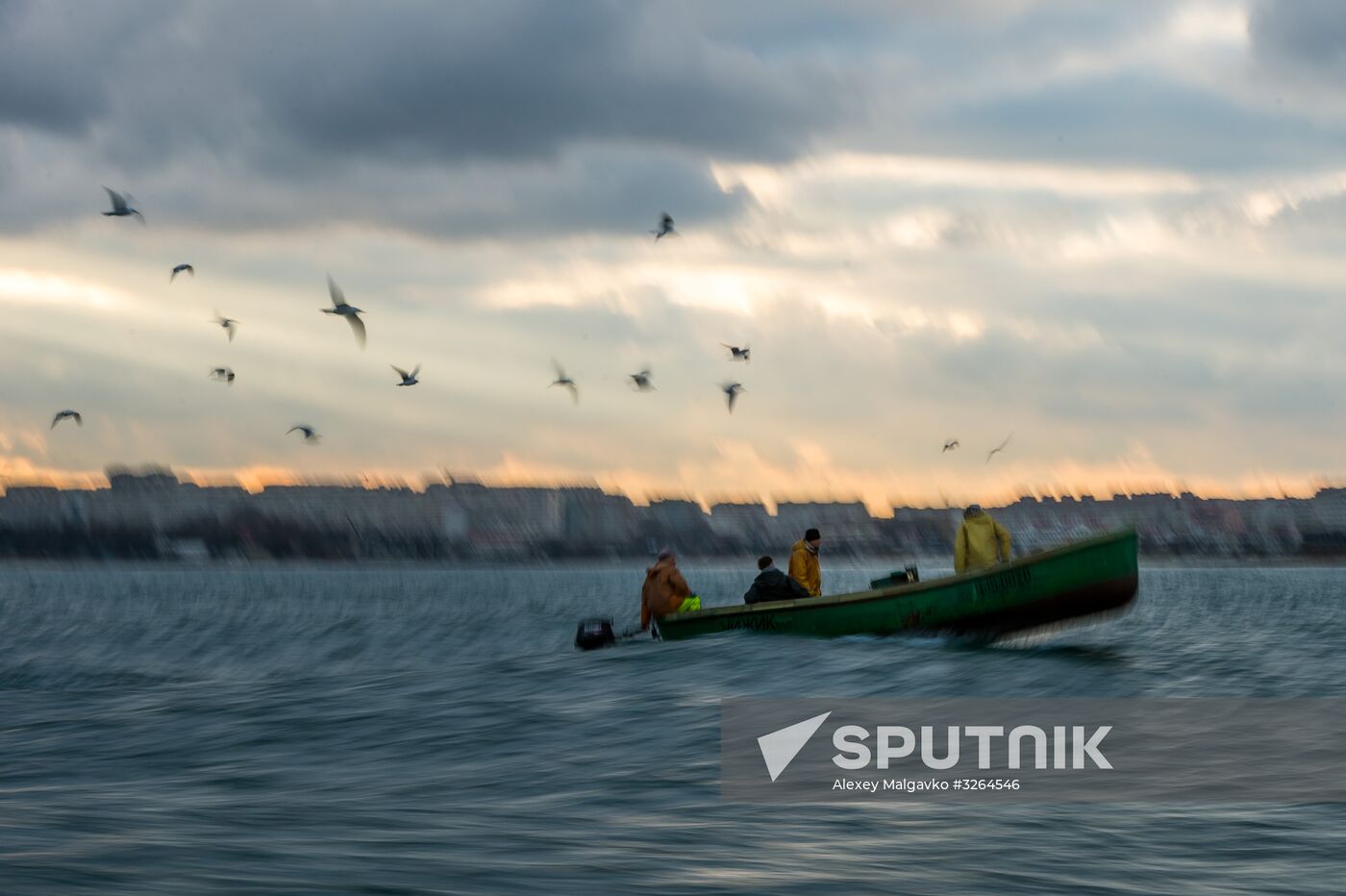 Inshore fisheries in Sevastopol