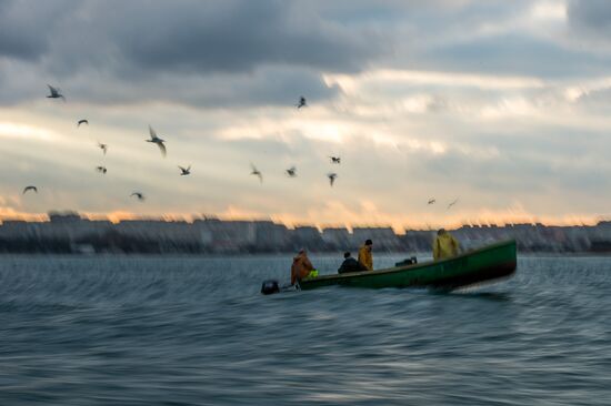 Inshore fisheries in Sevastopol
