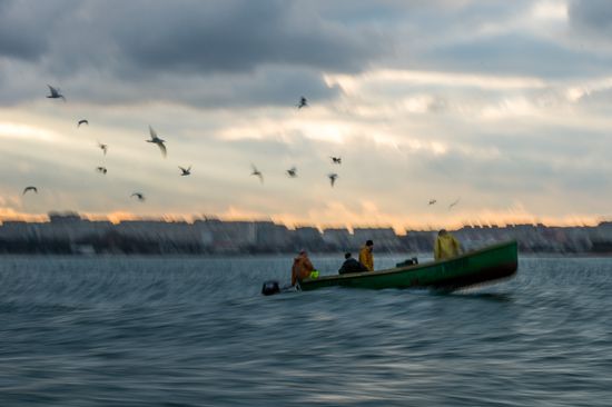 Inshore fisheries in Sevastopol