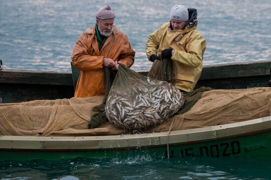 Inshore fisheries in Sevastopol
