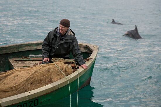 Inshore fisheries in Sevastopol