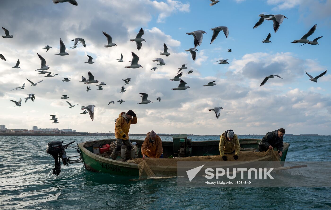 Inshore fisheries in Sevastopol