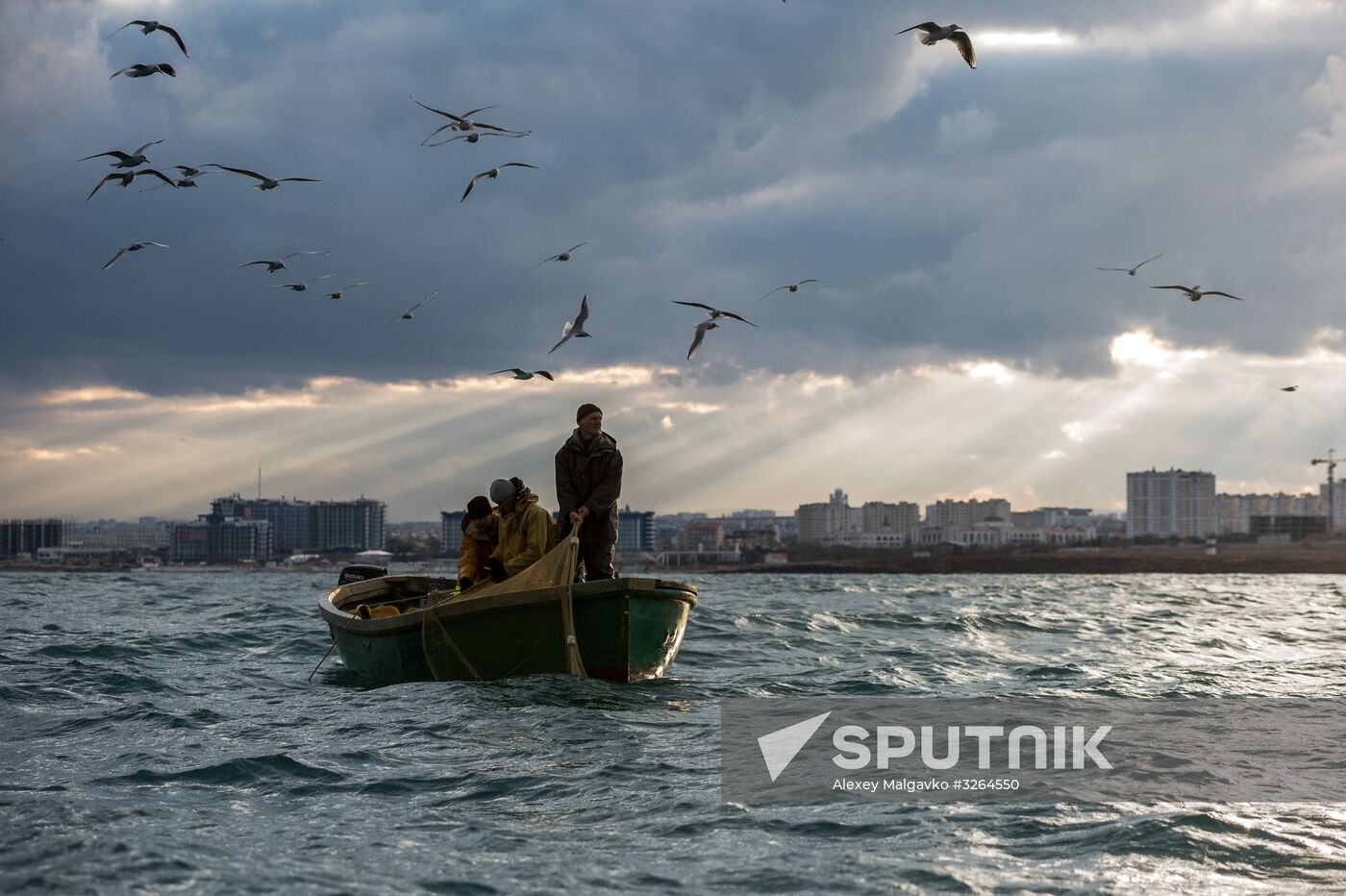 Inshore fisheries in Sevastopol