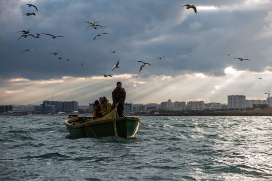 Inshore fisheries in Sevastopol