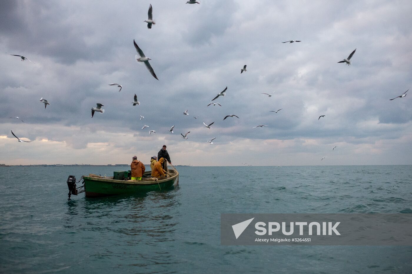 Inshore fisheries in Sevastopol