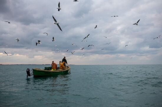 Inshore fisheries in Sevastopol
