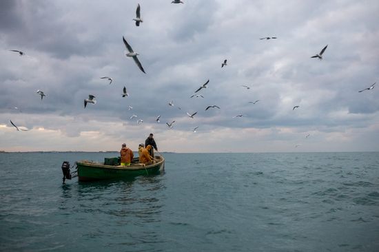 Inshore fisheries in Sevastopol