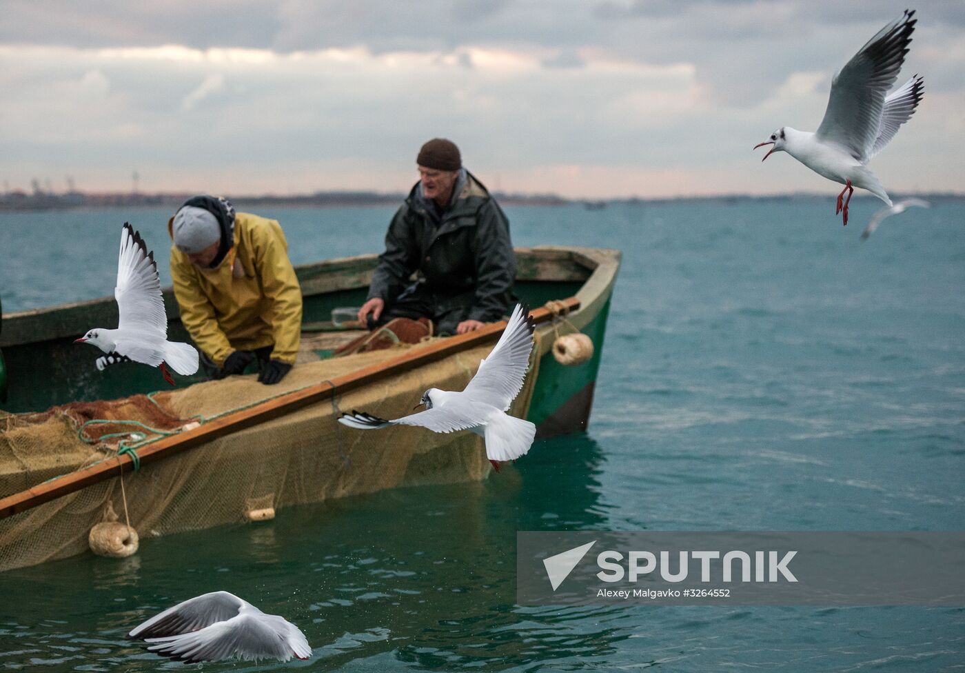 Inshore fisheries in Sevastopol