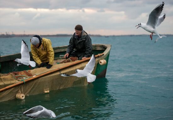 Inshore fisheries in Sevastopol