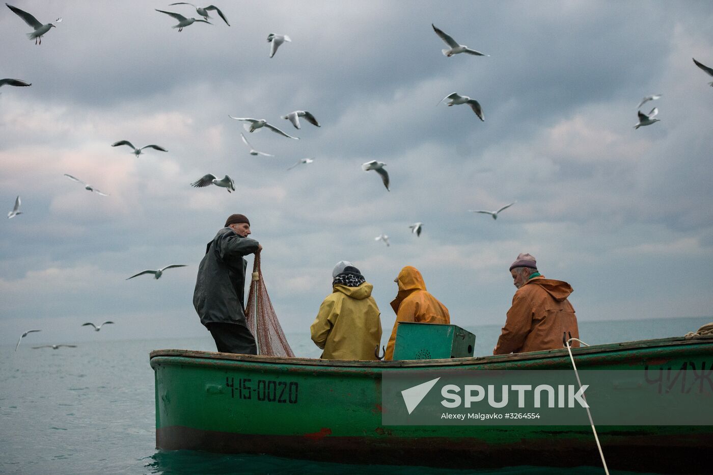Inshore fisheries in Sevastopol