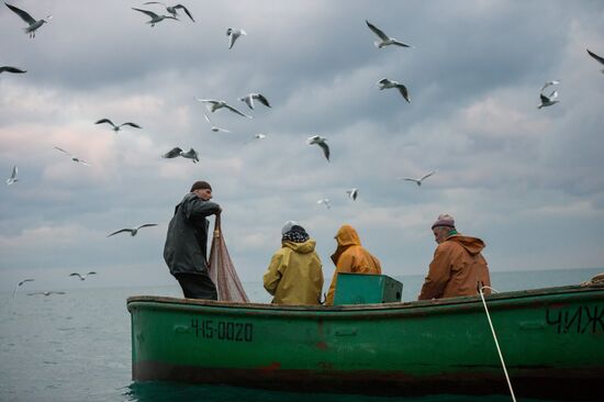 Inshore fisheries in Sevastopol