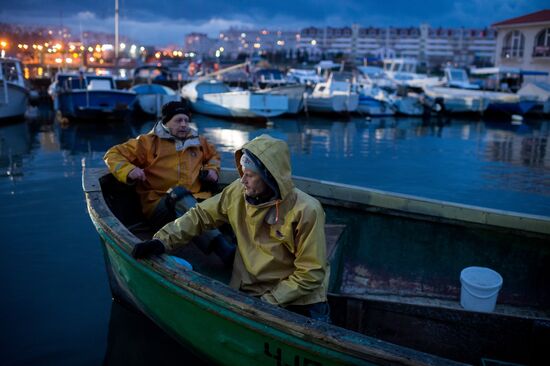 Inshore fisheries in Sevastopol