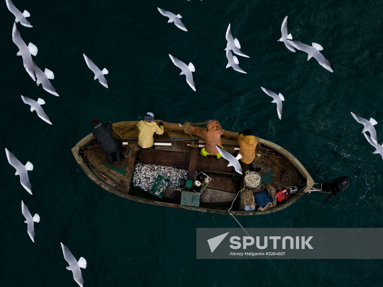 Inshore fisheries in Sevastopol