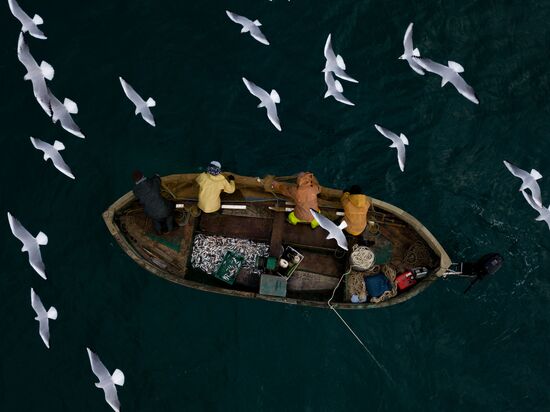Inshore fisheries in Sevastopol