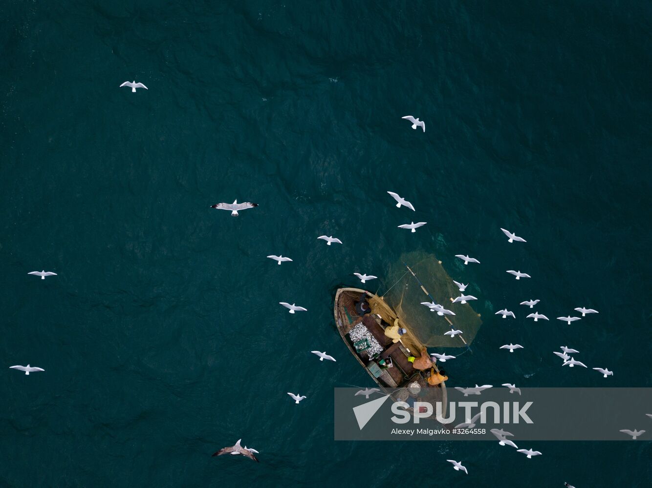 Inshore fisheries in Sevastopol