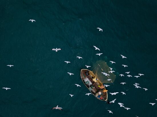 Inshore fisheries in Sevastopol