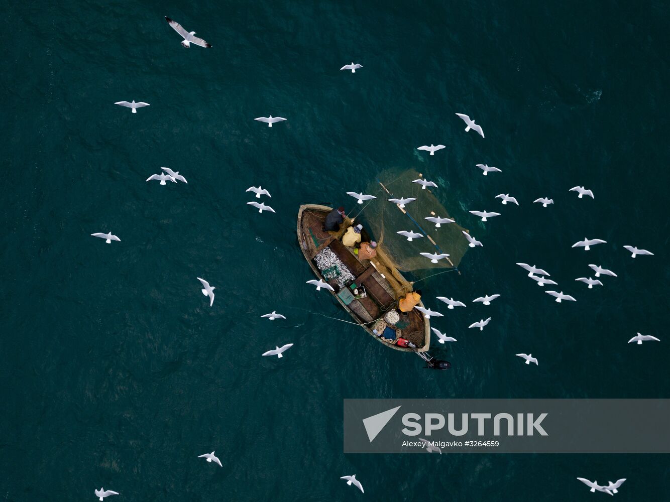Inshore fisheries in Sevastopol