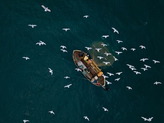 Inshore fisheries in Sevastopol
