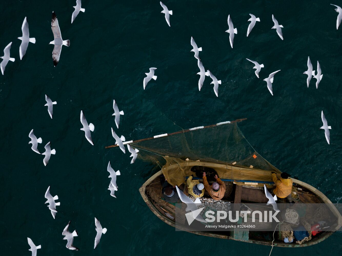 Inshore fisheries in Sevastopol
