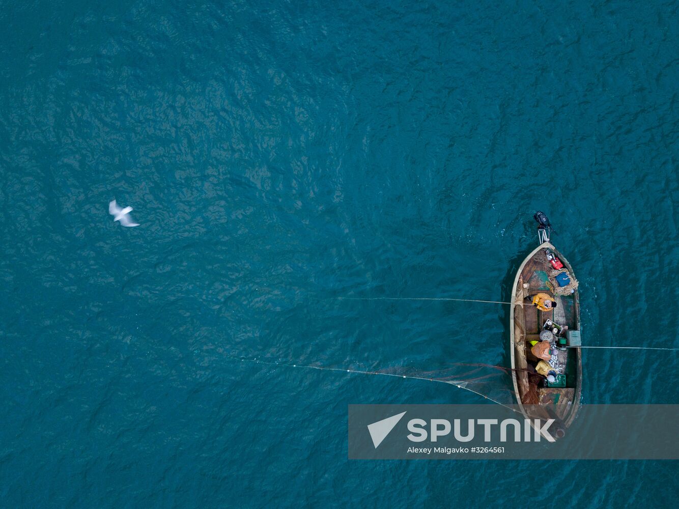 Inshore fisheries in Sevastopol