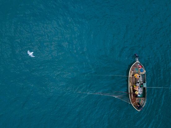 Inshore fisheries in Sevastopol