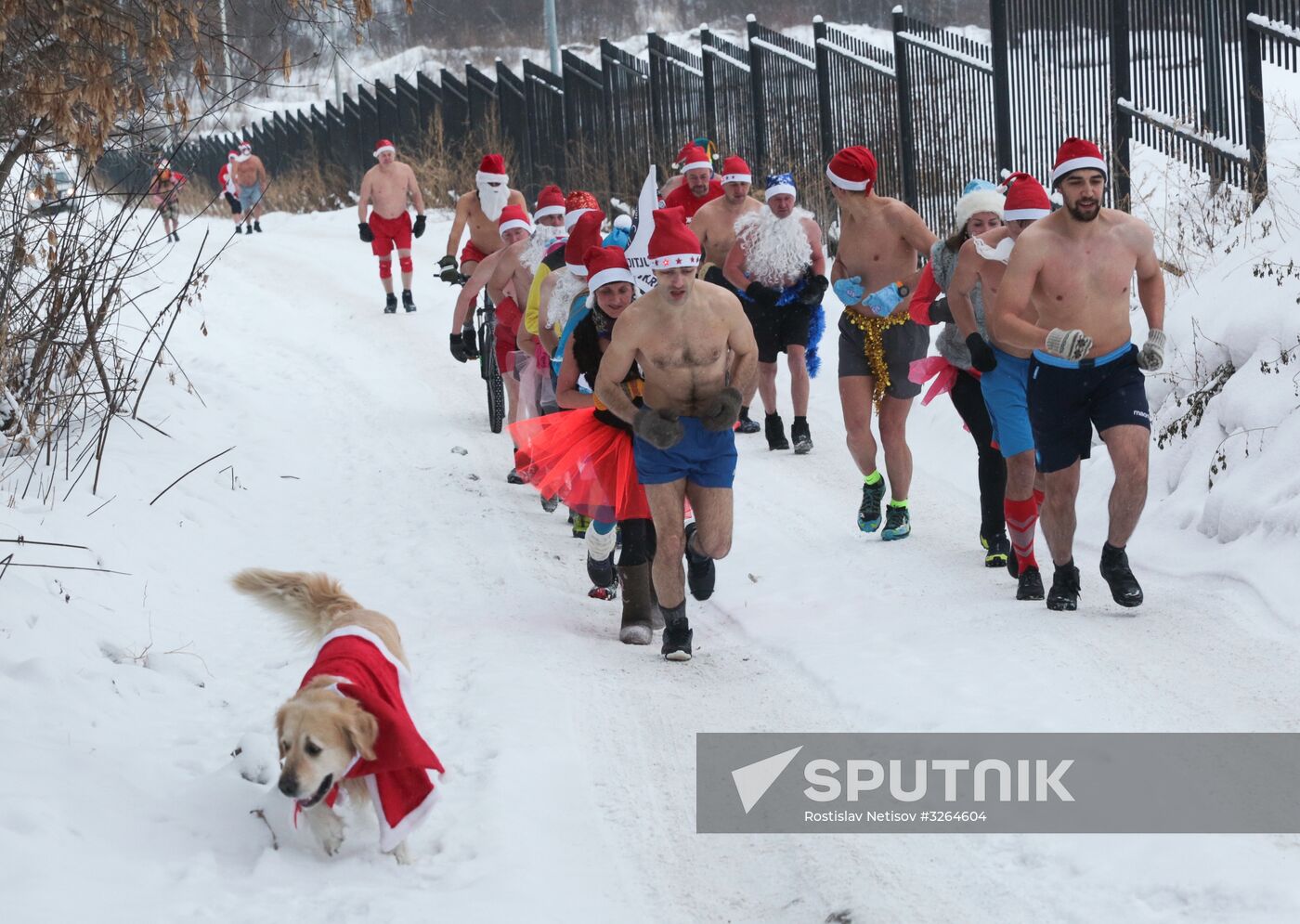 "Polar bears" dressed as Santa race in Novosibirsk