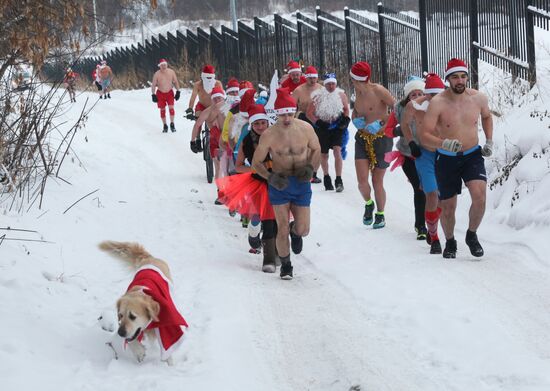"Polar bears" dressed as Santa race in Novosibirsk