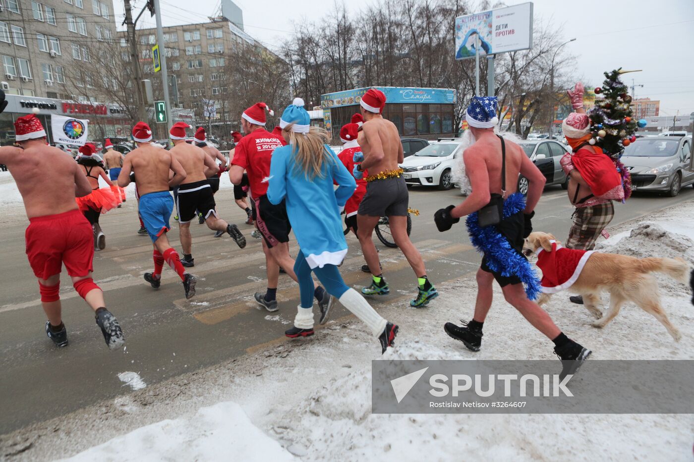 "Polar bears" dressed as Santa race in Novosibirsk