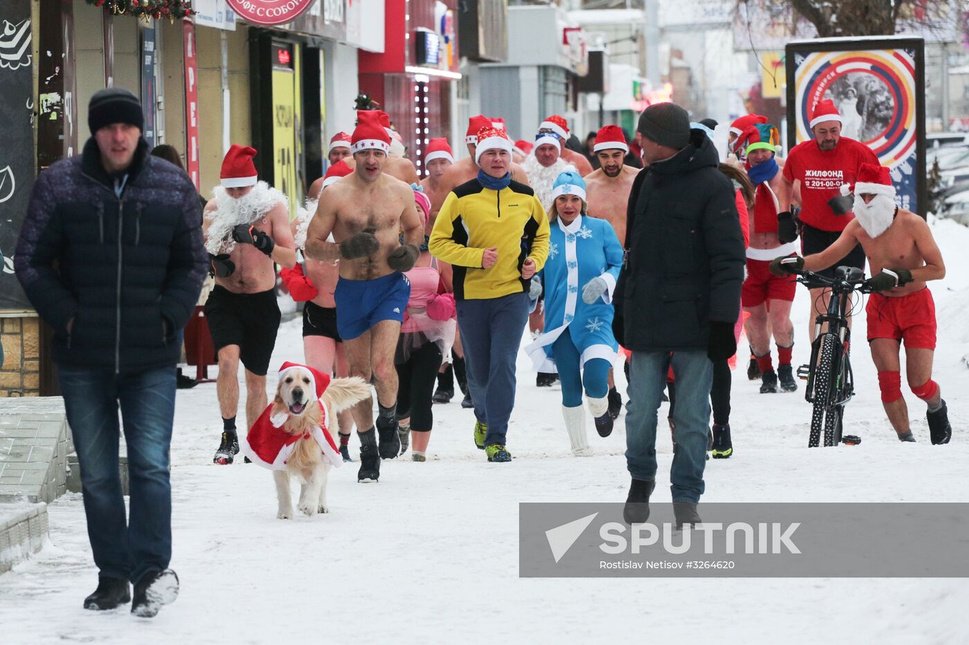 "Polar bears" dressed as Santa race in Novosibirsk