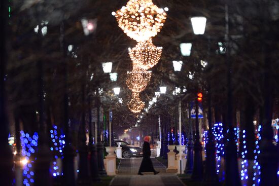 New Year lights in Grozny