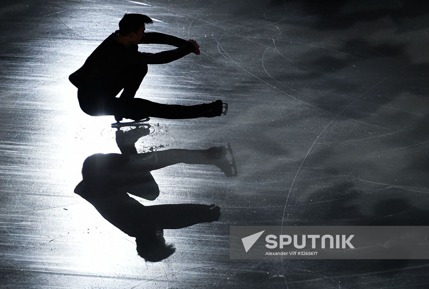 Russian Figure Skating Championships. Exhibition gala