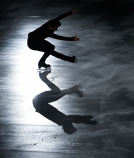 Russian Figure Skating Championships. Exhibition gala