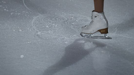 Russian Figure Skating Championships. Exhibition gala