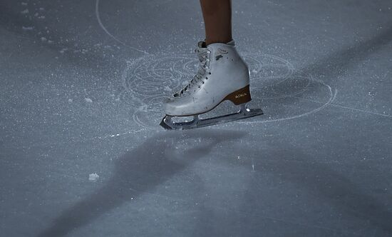 Russian Figure Skating Championships. Exhibition gala