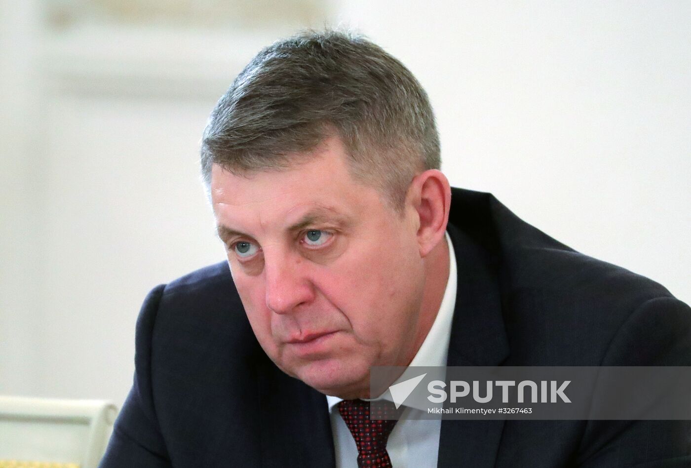 President Putin chairs meeting of State Council on regions' investment attractiveness