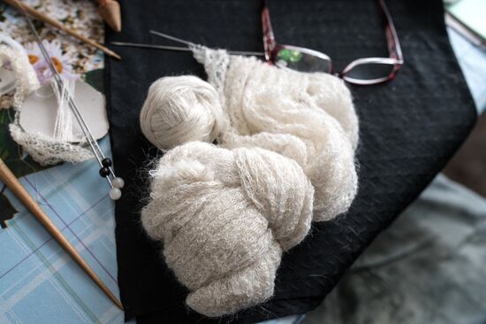 Knitting an Orenburg down-hair shawl